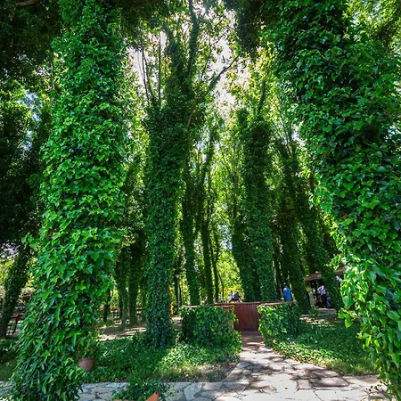 Отель Sebastiano 3*